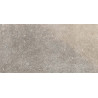 Delconca Fori Imperiali HIM 5 Grigio 30x60cm/ 8,5mm