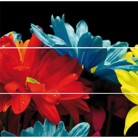Aparici Acces - Zero Daisy Cuadro 3   25x75cm