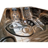 WANNA OGRODOWA JACUZZI SPA-705 210x170 Magma gold obudowa antracyt