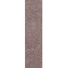 Płytka gresowa APAVISA WIND RED NATURAL 24,75X99,55 cm