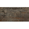 Płytka ceramiczna APAVISA CAST IRON OXIDUM NATURAL 29,75X59,55 cm
