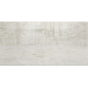 Płytka ceramiczna APAVISA CAST IRON WHITE NATURAL 59,55X119,30 cm