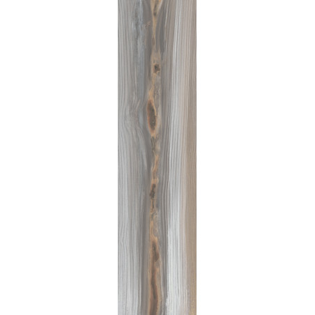 Płytka ceramiczna APAVISA ECHO ASH NATURAL 24,75X99,55 cm