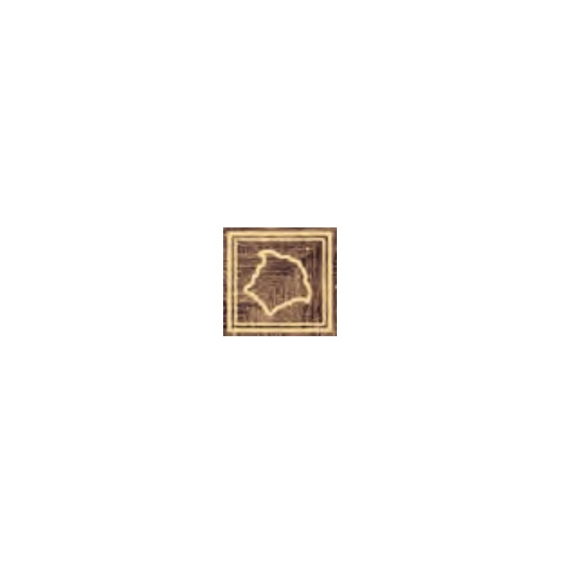 Decors  Versace  Angolo Medusa Oro 20 x 20