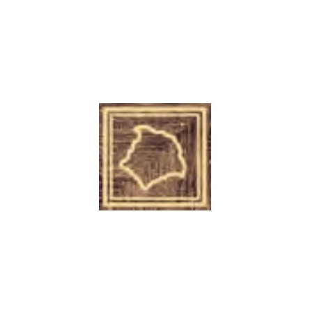 Decors  Versace  Angolo Medusa Oro 20 x 20