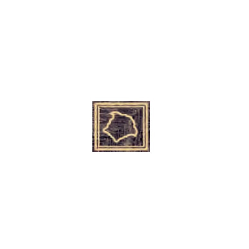 Decors  Versace  Angolo Medusa Oro 10 x 10