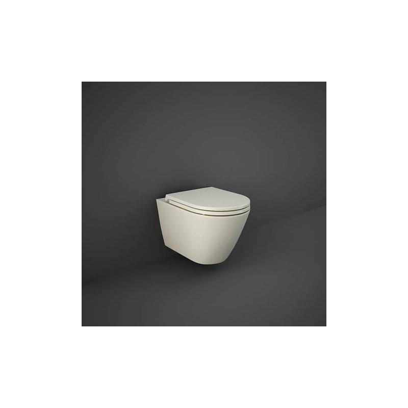 Rak Ceramics deska wc FEELING slim wolnoopadająca beż mat (505)