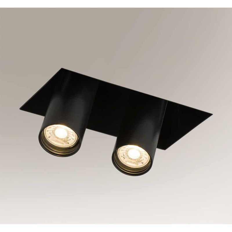 oprawa wpuszczana - 2 x MR 11 LED