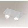 oprawa wpuszczana - 2 x MR 11 LED