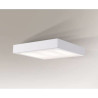 oprawa IP - LED 32xMW-MLD-2835-lens