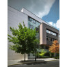 Laminam Collection Avorio 300x100 / 3,5mm