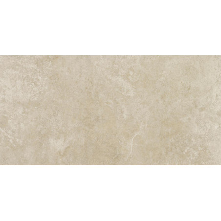 Apavisa Evolution Beige Natural 60x120cm