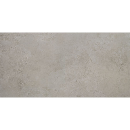 Apavisa Evolution Grey Natural 60x120cm