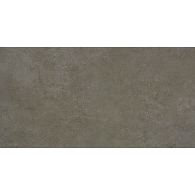 Apavisa Evolution Moss Natural 60x120cm