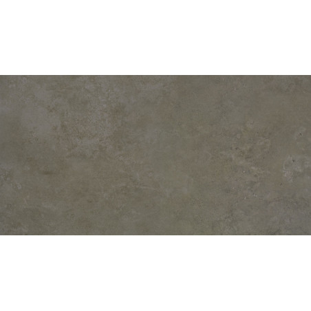 Apavisa Evolution Moss Natural 60x120cm