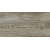 Apavisa Iconic Beige Natural 45x90 cm