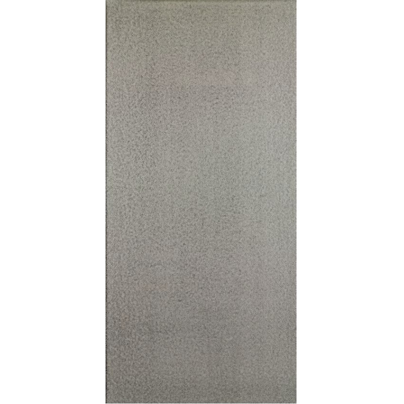 Apavisa Pelle Silver Lappato 45x90 cm