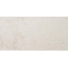 Apavisa Neocountry White  Bocciardato 30x60 cm/11 mm