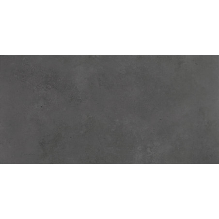 Apavisa Evolution Black Natural 60x120cm