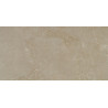 Apavisa Evolution Vison Natural 60x120cm