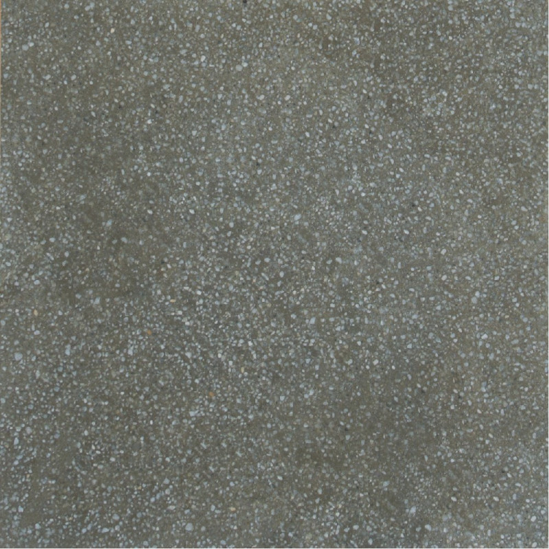 Apavisa Terrazzo Moss Natural 30x30cm