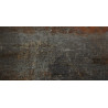 Apavisa Cast Iron Black Natural  30x60cm/ 11mm