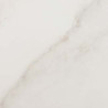 Marazzi Evolutionmarble  Calacatta Oro  60x60cm/10,5mm